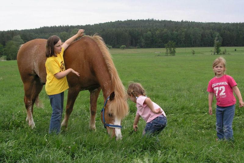 Kinder mit Pferd - Ferienhof Altmann